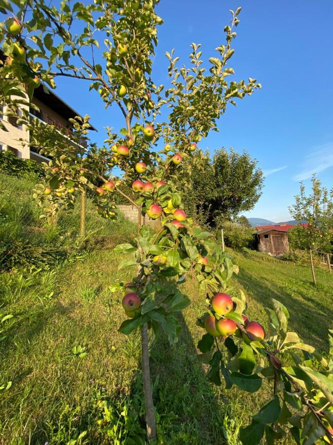 Haus Otis Apartamento Millstatt Exterior foto